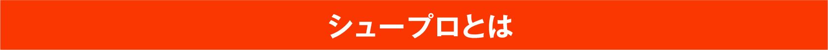 シュープロとは